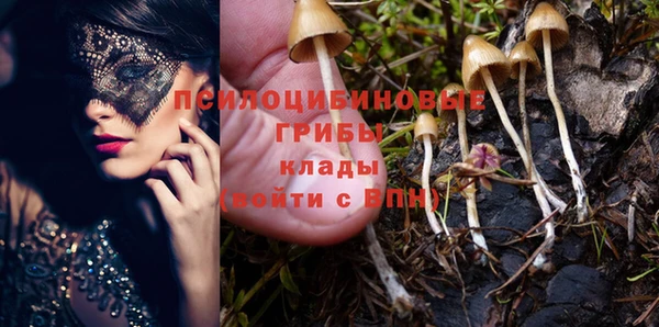 крисы Зерноград