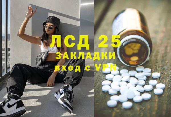 крисы Зерноград