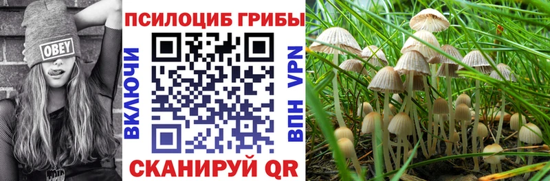 Галлюциногенные грибы GOLDEN TEACHER  Купить  Медвежьегорск 